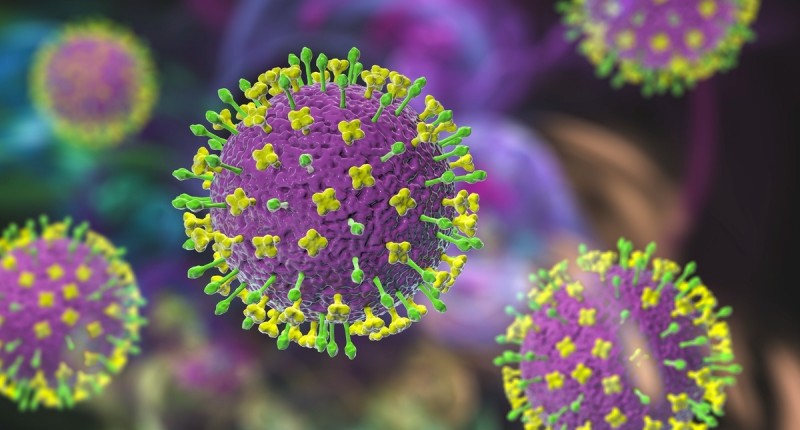 ADVIERTEN POR BROTE DEL MORTAL VIRUS NIPAH EN INDIA: TAILANDIA EN  «ALERTA MÁXIMA»