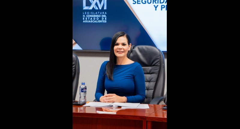 PROPONE DIPUTADA EN AGS, NANCY GUTIÉRREZ, MEJORA PARA ACLARAR LO QUE CONTEMPLA LA PENSIÓN ALIMENTICIA