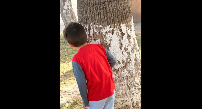 PRESENTA TRINO ROMO INICIATIVA PARA MAYOR CERTIDUMBRE LEGAL Y ACOMPAÑAMIENTO A MENORES DE AGS  EN CASO DE ORFANDAD