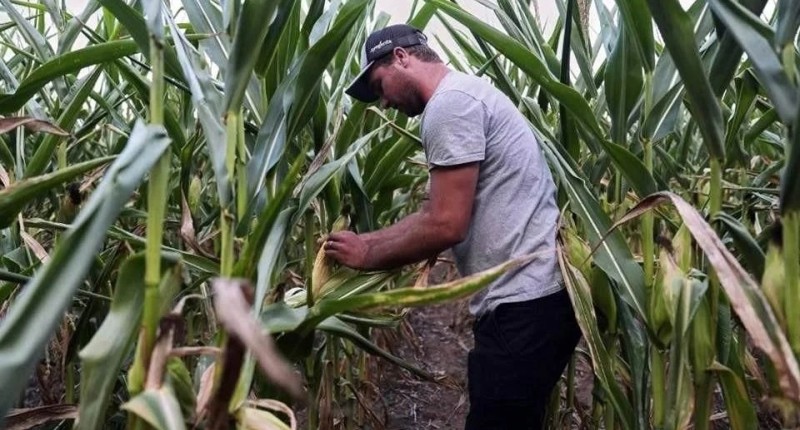 CAUSA GUERRA CRISIS CON LOS FERTILIZANTES