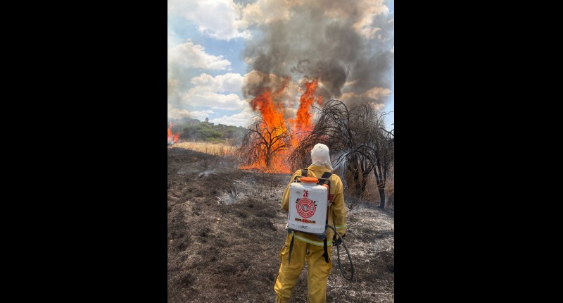 SE INCENDIARON 36 HECTÁREAS DE PASTIZAL A ORILLAS DE LA CARRETERA AGUASCALIENTES-SAN LUIS POTOSÍ