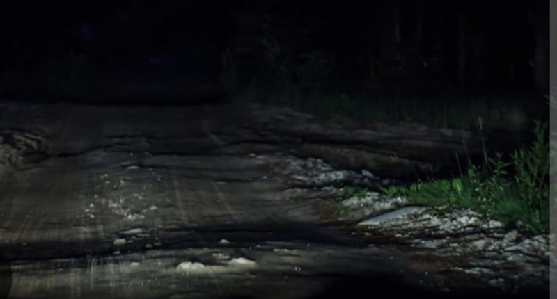 GRUPO COLECTIVO DE MADRES BUSCADORAS ENCUENTRA OSAMENTA EN SAN PANCHO EN AGS