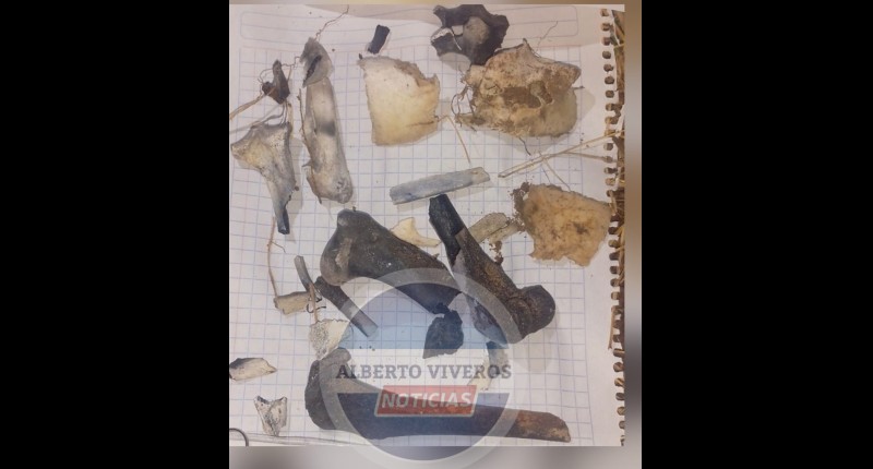 ERA OSAMENTA DE ANIMAL LA LOCALIZADA POR MADRES BUSCADORAS EN SAN PANCHO, AGS