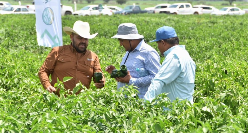 ENCUENTRO DE CHILES PICOSOS REÚNE A PRODUCTORES DE AGUASCALIENTES