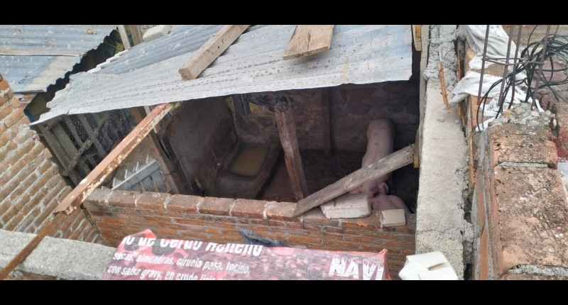 DENUNCIAN CHIQUERO EN CASA HABITACIÓN EN EL FRACC RODOLFO LANDEROS EN AGS 