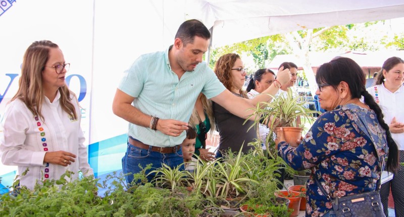 DONAN EN CALVILLO ÁRBOLES PARA ESPACIOS PÚBLICOS