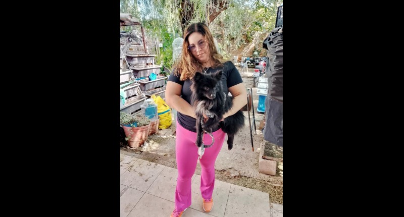 MUNICIPIO DE AGS E ISSEA REALIZARÁN ESTERILIZACIONES GRATUITAS PARA CANINOS Y FELINOS EN EL FRACCIONAMIENTO INSURGENTES