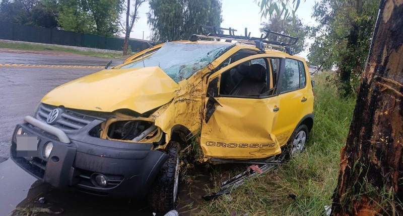 AUTOMOVILISTA DESTROZA UNA VAGONETA AL CHOCAR CONTRA UN ÁRBOL EN AVENIDA DE LOS MAESTROS, EN AGS 