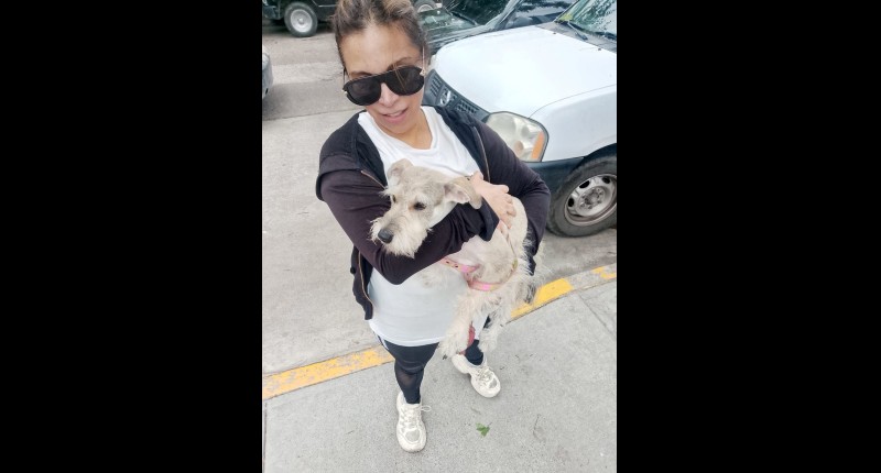MUNICIPIO DE AGS E ISSEA REALIZARÁN 7 Y 8 DE OCT JORNADAS DE ESTERILIZACIÓN EN SAN PEDRO CIENEGUILLA Y MIRADOR DE LAS CULTURAS